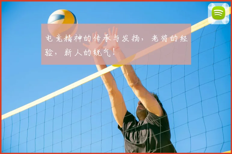 电竞精神的传承与发扬,老将的经验,新人的锐气!
