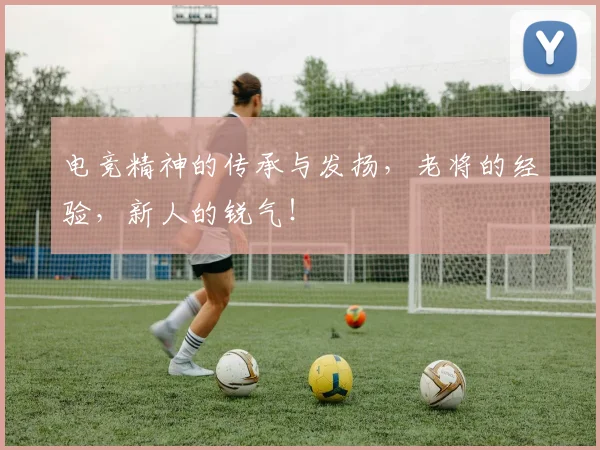 电竞精神的传承与发扬，老将的经验，新人的锐气！